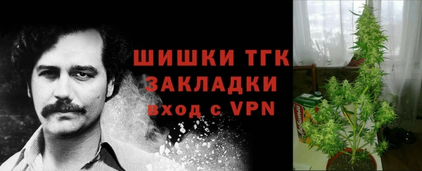 сатива Липки