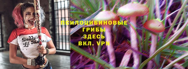 спайс Кострома